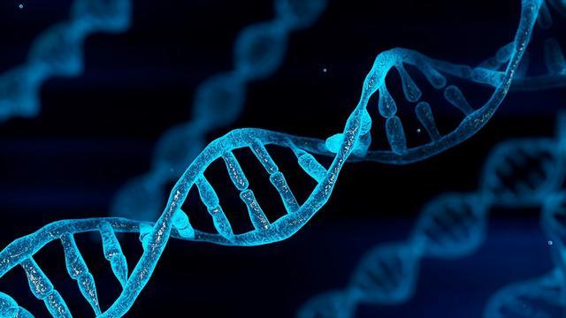 Double helix DNA